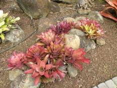 02_Hawaii_2 140.jpg (91658 bytes)